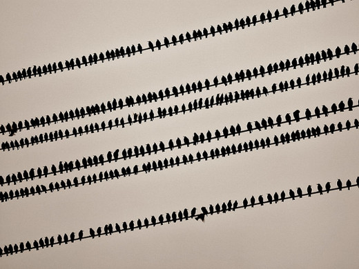 350389 (a): :1024x768